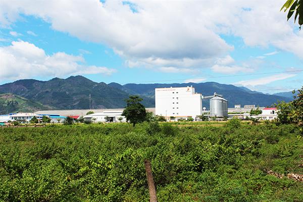 Ảnh minh họa. Ảnh: baokhanhhoa.vn. Ảnh minh họa. Ảnh: baokhanhhoa.vn.